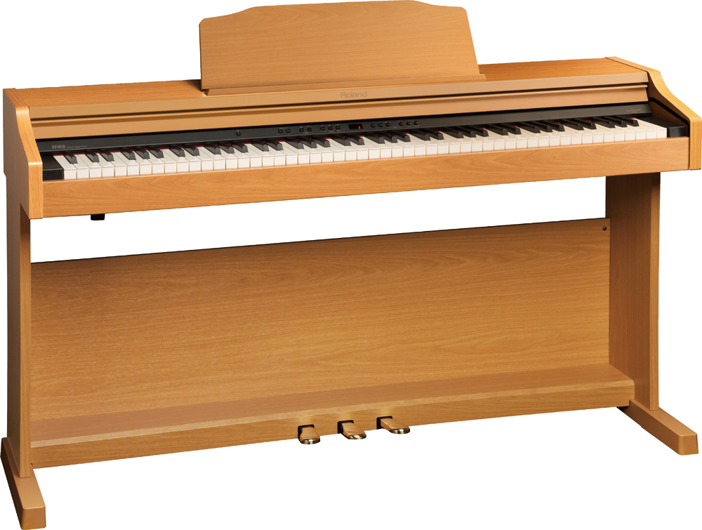 Roland RP401R